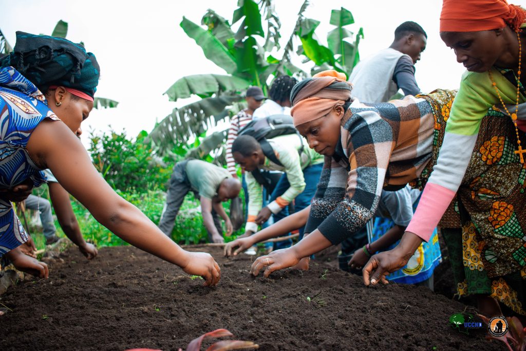 Training workshop for women from local communities and Indigenous Pygmy groups living near Virunga National Park, focused on sustainable agriculture. Photo credit: Aristote – UCCND ASBL